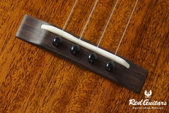 AM-T・KIYOSAKU #856